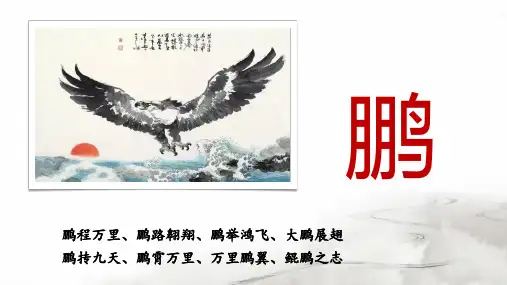 第21课 北冥有鱼 课件(共22张PPT)部编版语文八年级下册