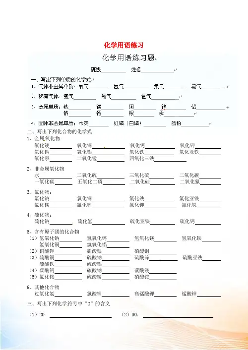 2022届九年级化学 化学用语练习 新人教版