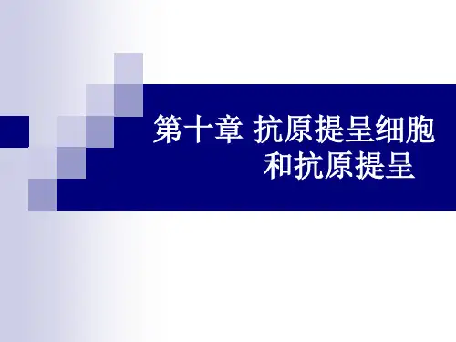 兽医免疫学《抗原提呈细胞和抗原提呈》课件