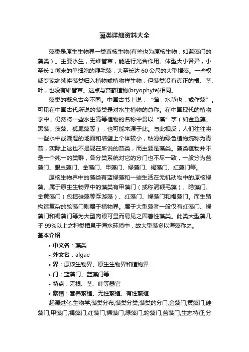 藻类详细资料大全
