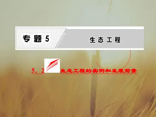 2018生物选修3课件：5.2 生态工程的实例和发展前景