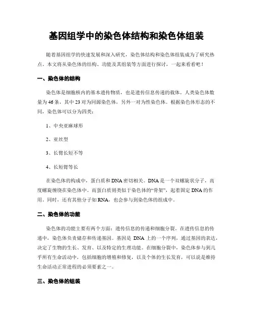 基因组学中的染色体结构和染色体组装