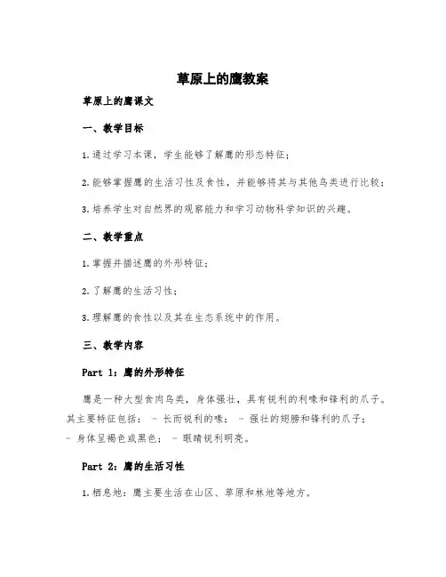 草原上的鹰教案 草原上的鹰课文