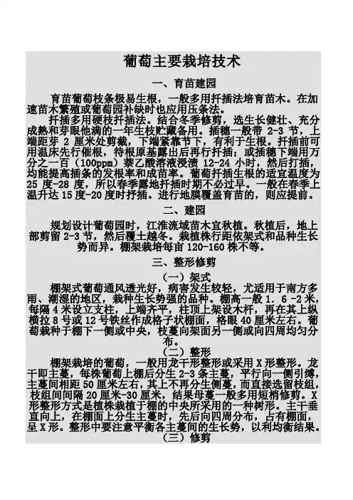 葡萄的栽培技术讲解