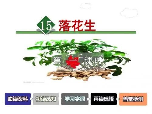 五年级上册语文课件-15.落花生 第1课时-人教新课标 (共27张PPT)