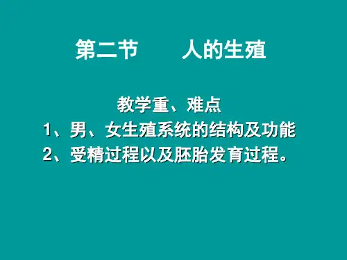 人教版初中生物七年级下册课件-4.1.2 人的生殖4