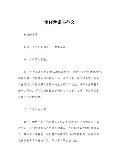 责任承诺书范文