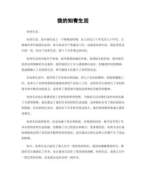 我的知青生活