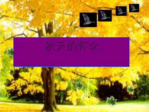 人教部编版语文七年级上册 《秋天的怀念》课件_PPT