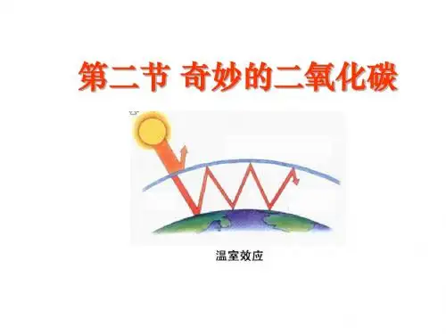 九年级第二章 第二节奇妙的二氧化碳(共39张PPT)