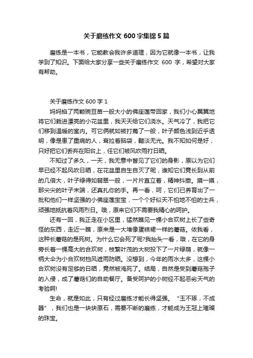 关于磨练作文600字集锦5篇