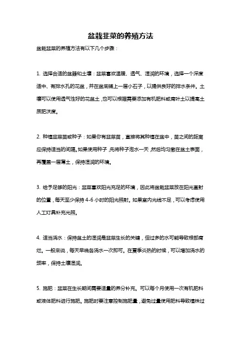 盆栽韭菜的养殖方法