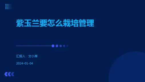 紫玉兰要怎么栽培管理