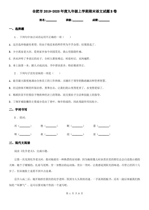 合肥市2019-2020年度九年级上学期期末语文试题B卷