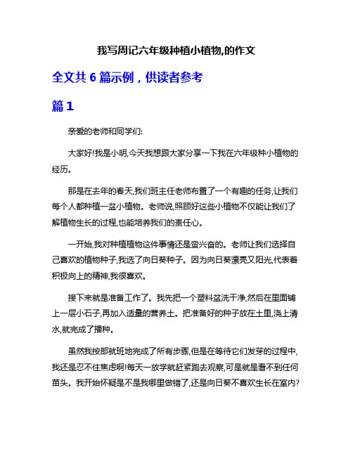 我写周记六年级种植小植物,的作文