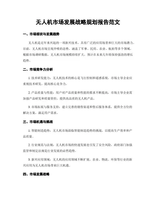 无人机市场发展战略规划报告范文