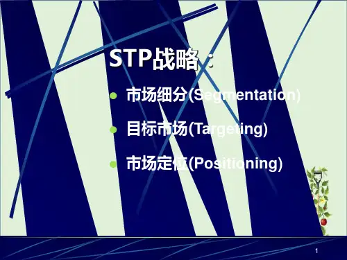 STP营销战略策划