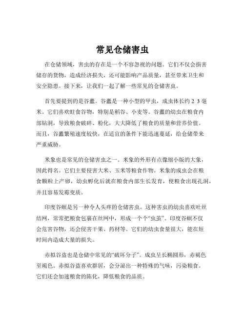 常见仓储害虫