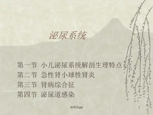 儿科护理泌尿系统医学PPT