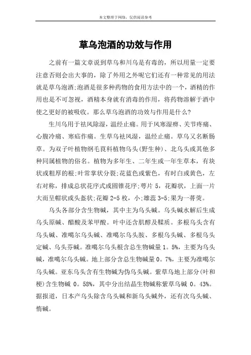 草乌泡酒的功效与作用