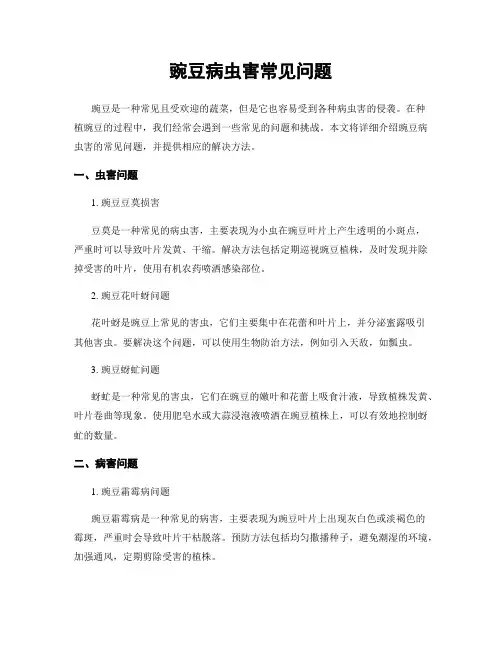 豌豆病虫害常见问题