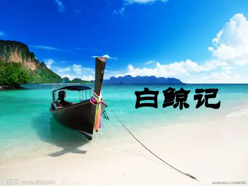白鲸记  ppt