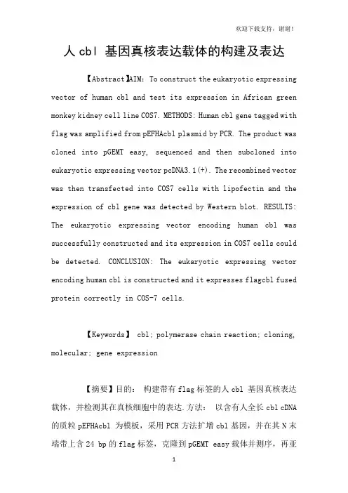 人cbl基因真核表达载体的构建及表达