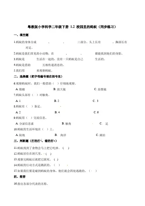 二年级下册科学一课一练-1.2校园里的蚂蚁粤教版含答案