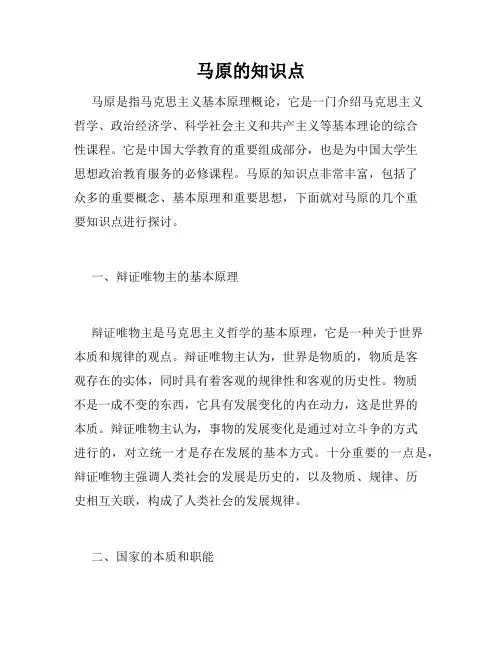 马原的知识点