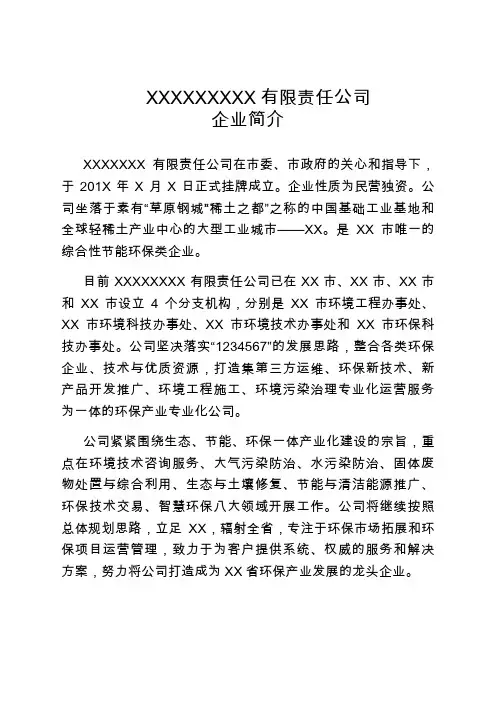 小公司企业简介范文