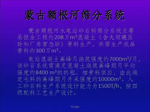 《额根河筛分系统》