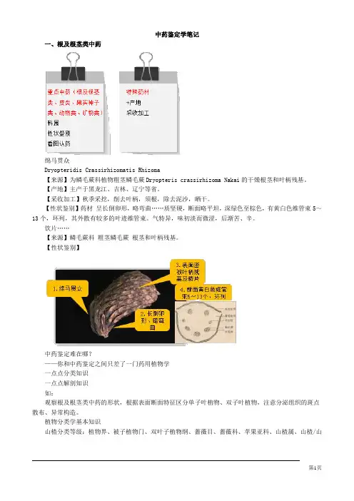 中药鉴定学笔记
