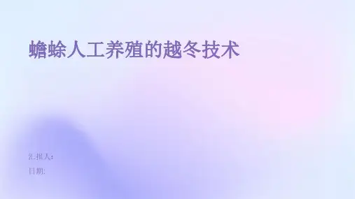 蟾蜍人工养殖的越冬技术