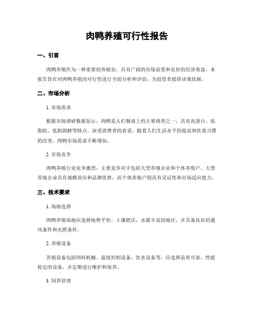 肉鸭养殖可行性报告