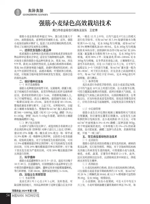强筋小麦绿色高效栽培技术
