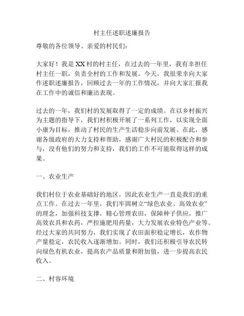 村主任述职述廉报告