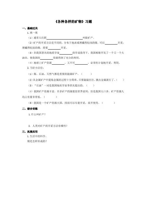 《各种各样的矿物》习题