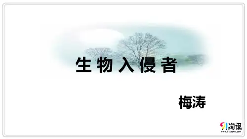 课件4：第19课 生物入侵者