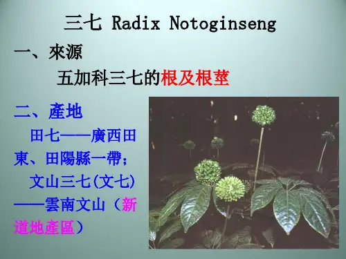 (中药鉴定学)根及根茎类中药