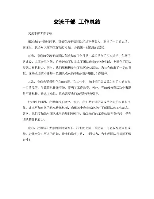 交流干部 工作总结