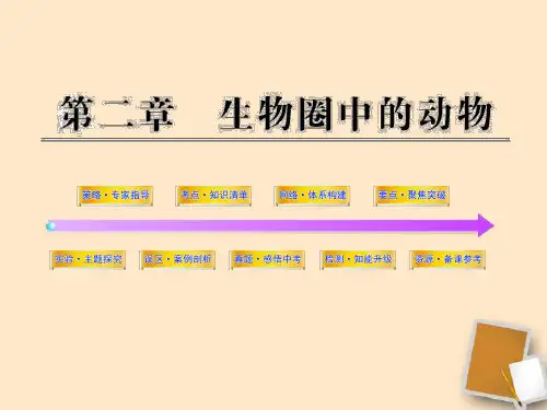 中考生物第一轮复习资料第二单元丰富多彩的生物世界生物圈中的动物公开课一等奖课件省赛课获奖课件