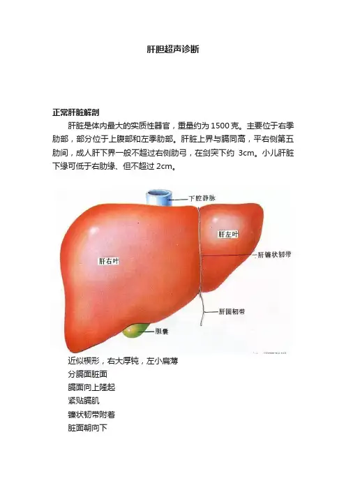 肝胆超声诊断