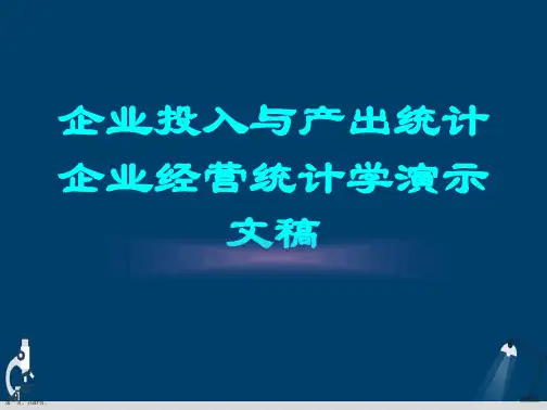 企业投入与产出统计企业经营统计学演示文稿