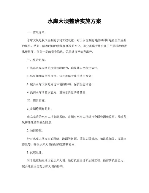 水库大坝整治实施方案