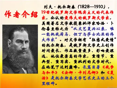 娜塔莎优秀ppt课件