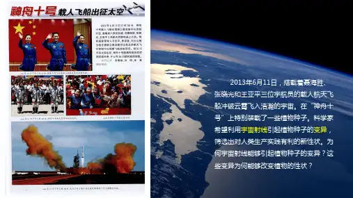 4.1 基因突变可能引起性状改变(教学课件)-高一下学期生物浙科版(2019)必修2