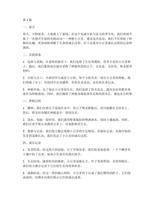 实践报告小豆芽成长记(2篇)