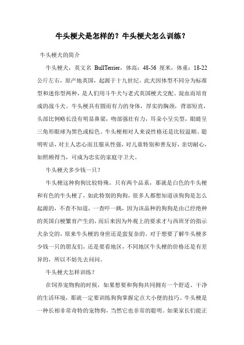 牛头梗犬是怎样的？牛头梗犬怎么训练？