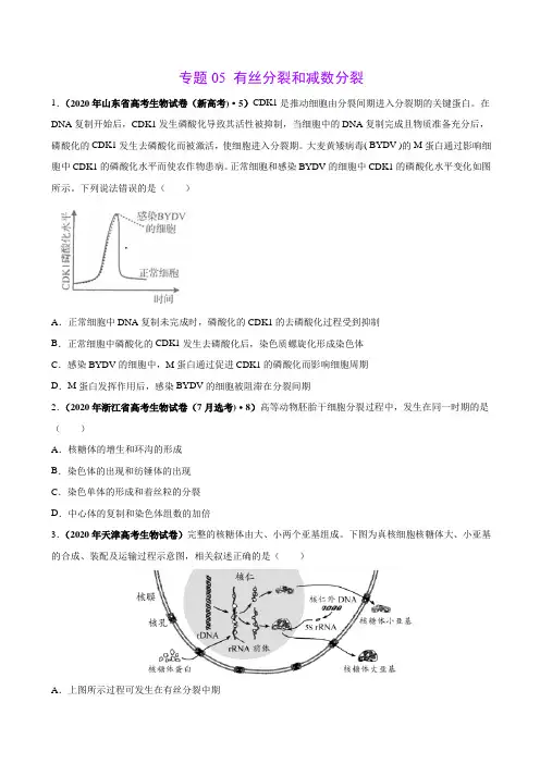 专题05 有丝分裂和减数分裂-三年(2018-2020)高考真题生物分项汇编(原卷版)