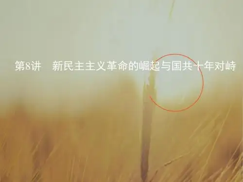 2019届高三历史一轮课件：第8讲 新民主主义革命的崛起与国共十年对峙 精品
